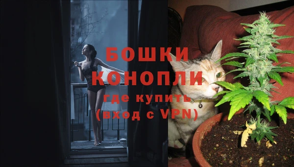 амф Богданович