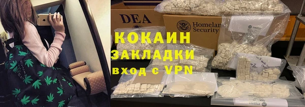 амф Богданович