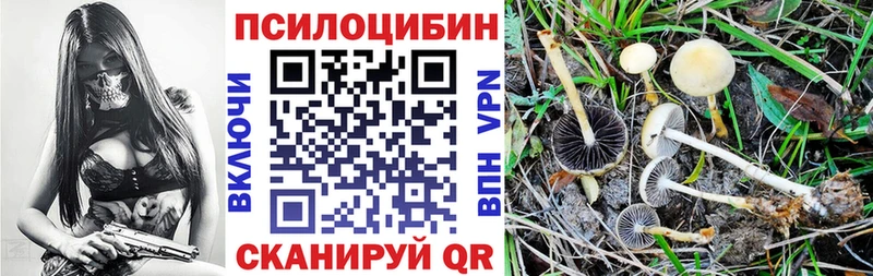 Купить закладки  Воскресенск  Псилоцибиновые грибы Psilocybine cubensis 